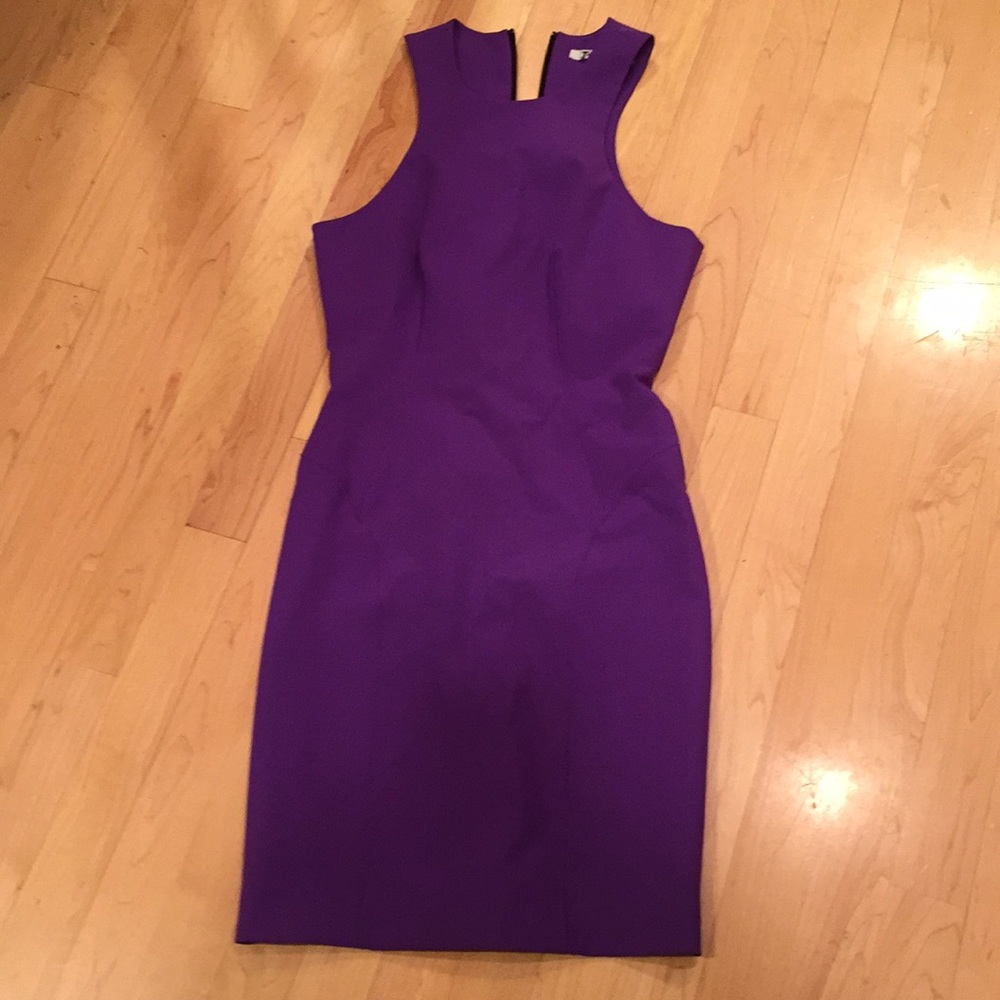 Purple Alexander wang fitted dress size 4